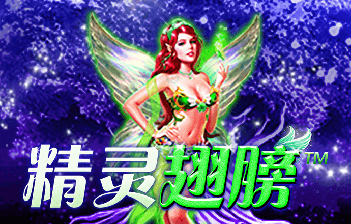 2024白菜网注册领取体验金