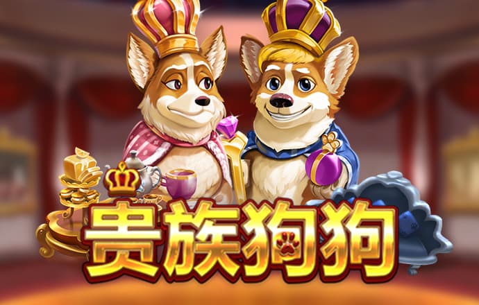 kaiyun体育app网页版在线